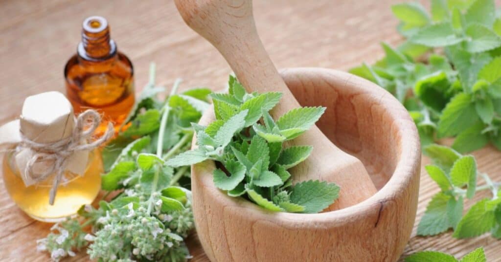 Qué son las infusiones naturales